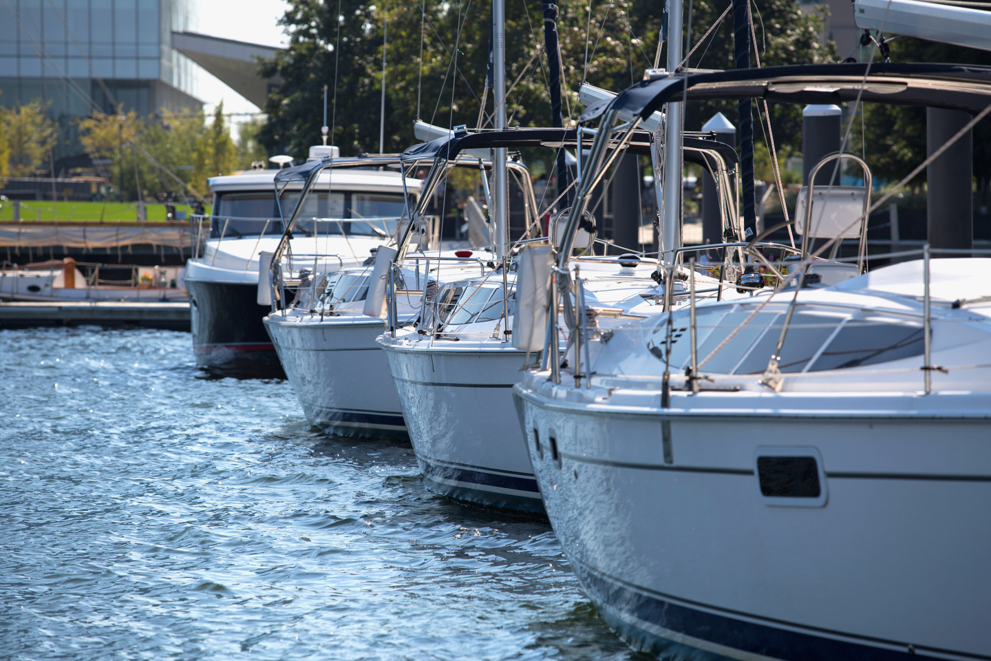 Sailboats at Fan Pier Marina