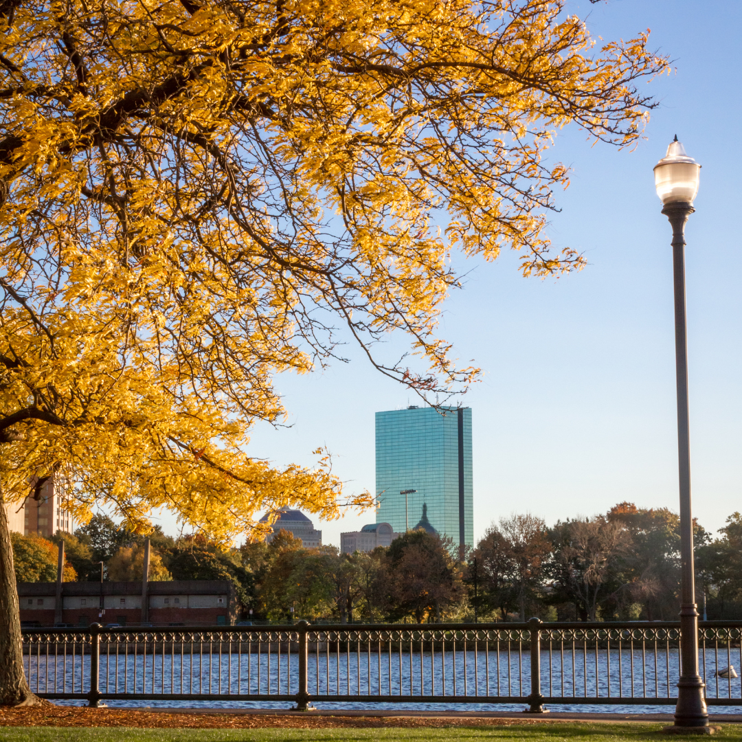 Fall Foliage along the Charles River Esplanade