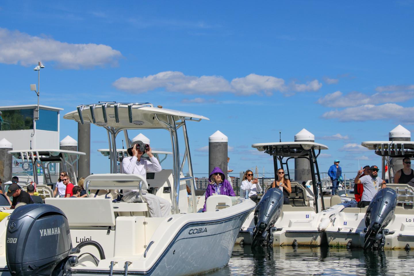 Spectators watch Red Bull Cliff Diving at Fan Pier Marina
